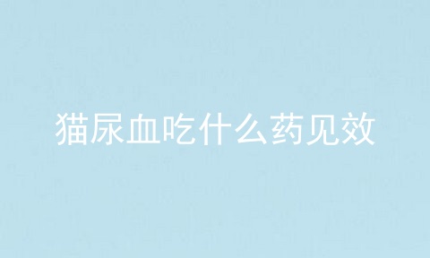 猫尿血吃什么药见效