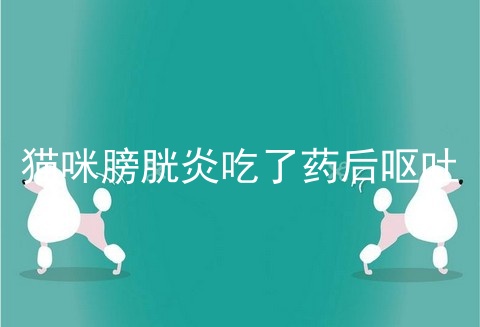 猫咪膀胱炎吃了药后呕吐