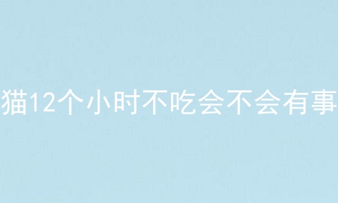 猫12个小时不吃会不会有事