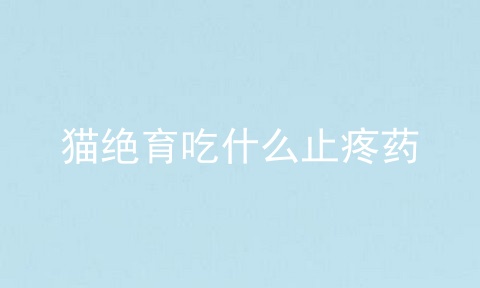 猫绝育吃什么止疼药