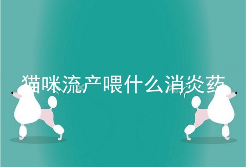猫咪流产喂什么消炎药