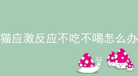 猫应激反应不吃不喝怎么办