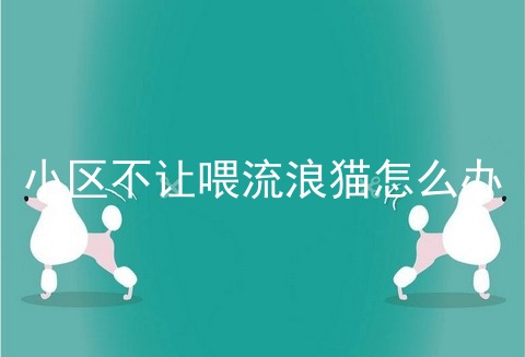 小区不让喂流浪猫怎么办