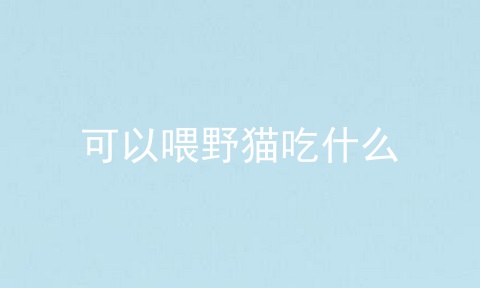 可以喂野猫吃什么