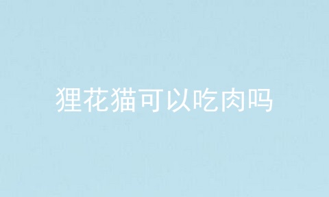狸花猫可以吃肉吗