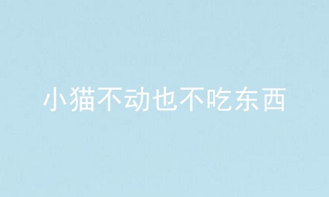 小猫不动也不吃东西