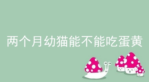 两个月幼猫能不能吃蛋黄