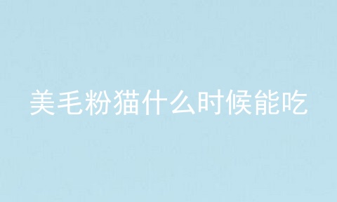 美毛粉猫什么时候能吃