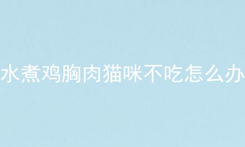 水煮鸡胸肉猫咪不吃怎么办
