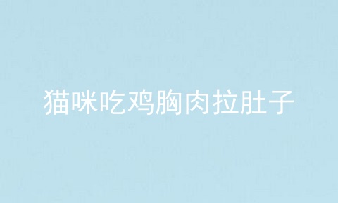 猫咪吃鸡胸肉拉肚子