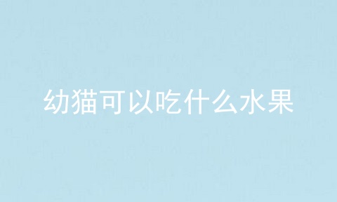 幼猫可以吃什么水果