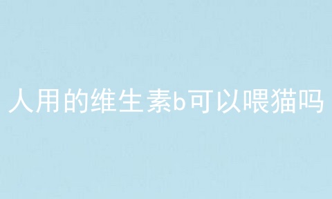 人用的维生素b可以喂猫吗