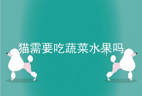 猫需要吃蔬菜水果吗