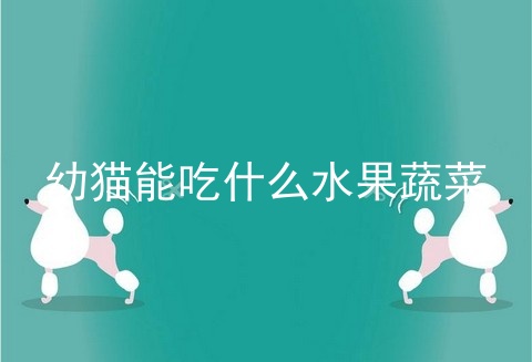 幼猫能吃什么水果蔬菜
