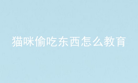 猫咪偷吃东西怎么教育