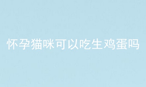 怀孕猫咪可以吃生鸡蛋吗