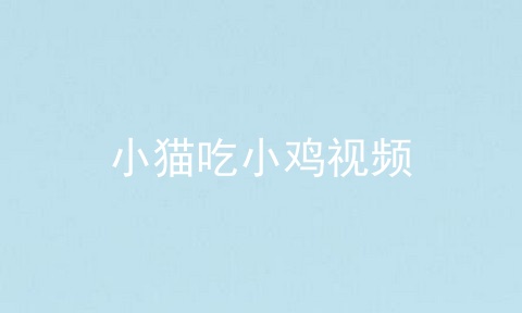 小猫吃小鸡视频