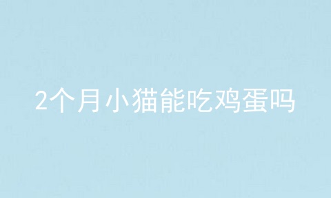 2个月小猫能吃鸡蛋吗