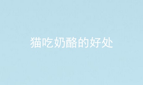 猫吃奶酪的好处