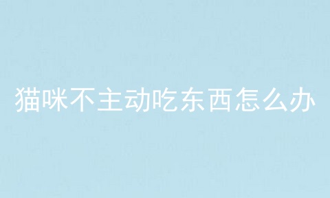 猫咪不主动吃东西怎么办