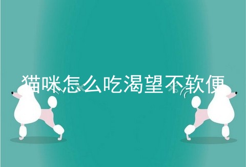 猫咪怎么吃渴望不软便
