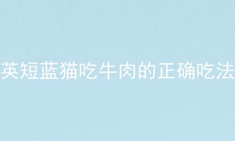 <a href=/cat/13.html target=_blank class=infotextkey>英短</a>蓝猫吃牛肉的正确吃法