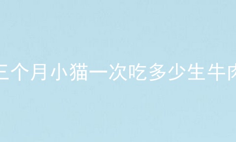 三个月小猫一次吃多少生牛肉