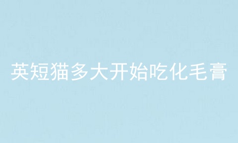 英短猫多大开始吃化毛膏