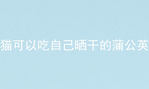 龙猫可以吃自己晒干的蒲公英吗