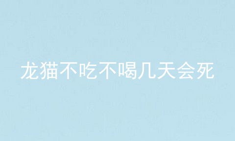 龙猫不吃不喝几天会死