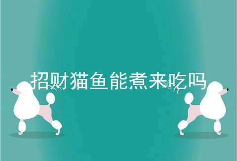 招财猫鱼能煮来吃吗