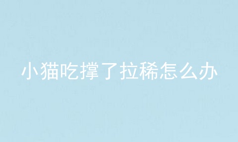 小猫吃撑了拉稀怎么办