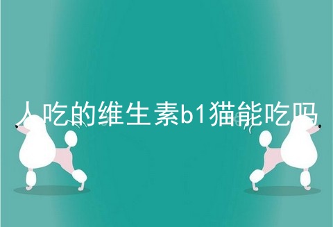 人吃的维生素b1猫能吃吗