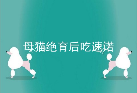 母猫绝育后吃速诺