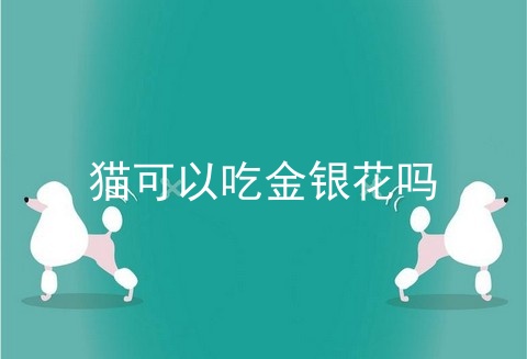 猫可以吃金银花吗