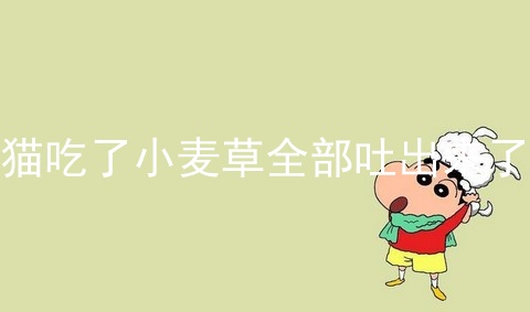 猫吃了小麦草全部吐出来了