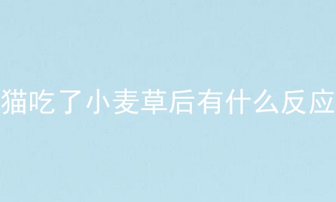 猫吃了小麦草后有什么反应
