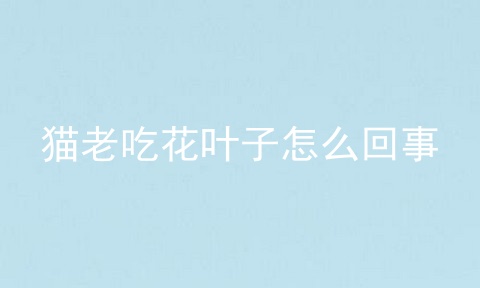 猫老吃花叶子怎么回事