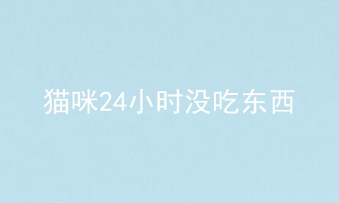 猫咪24小时没吃东西