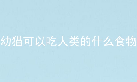 幼猫可以吃人类的什么食物