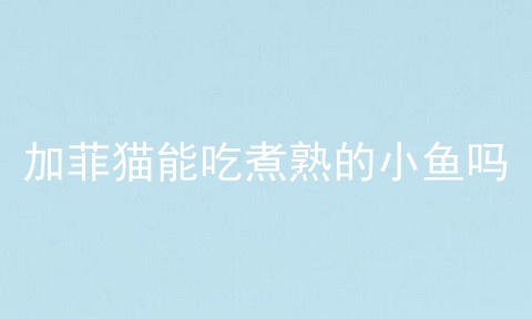 加菲猫能吃煮熟的小鱼吗
