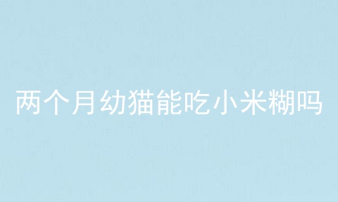 两个月幼猫能吃小米糊吗