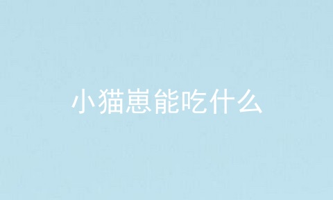 小猫崽能吃什么