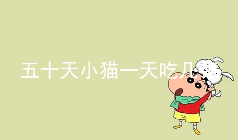 五十天小猫一天吃几顿