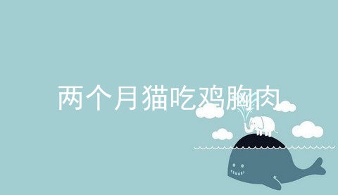 两个月猫吃鸡胸肉