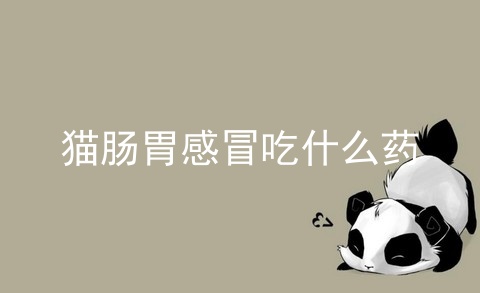 猫肠胃感冒吃什么药