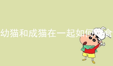 幼猫和成猫在一起如何喂食