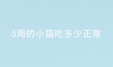 5周的小猫吃多少正常