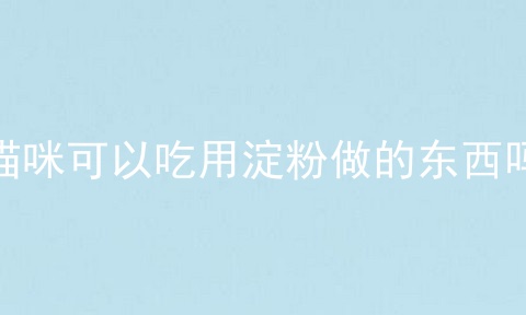 猫咪可以吃用淀粉做的东西吗