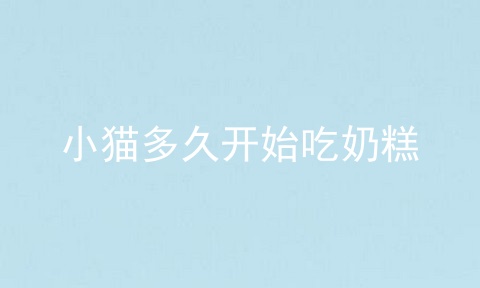 小猫多久开始吃奶糕